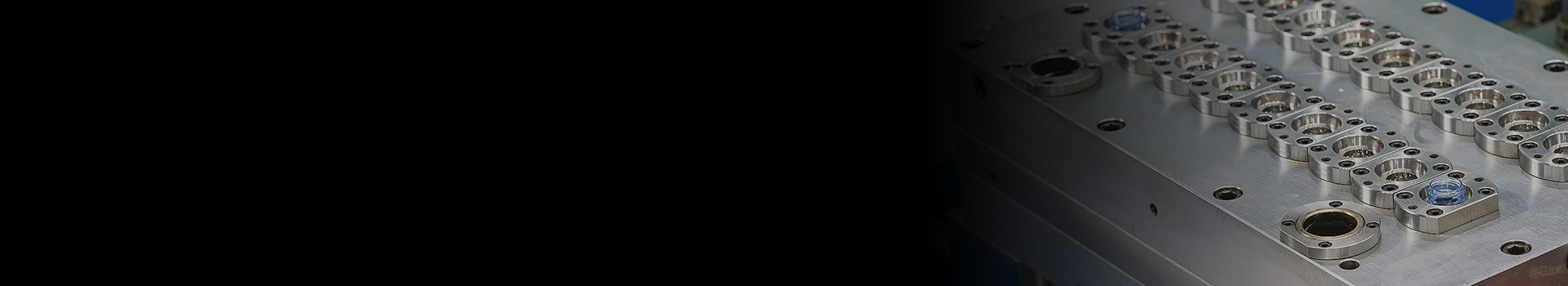 Injection Molding Professional Services