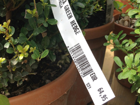  Direct Thermal Printing Is Applied To Garment Information Thermal Paper